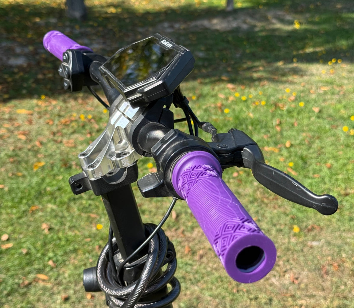 GRIPS — Purple